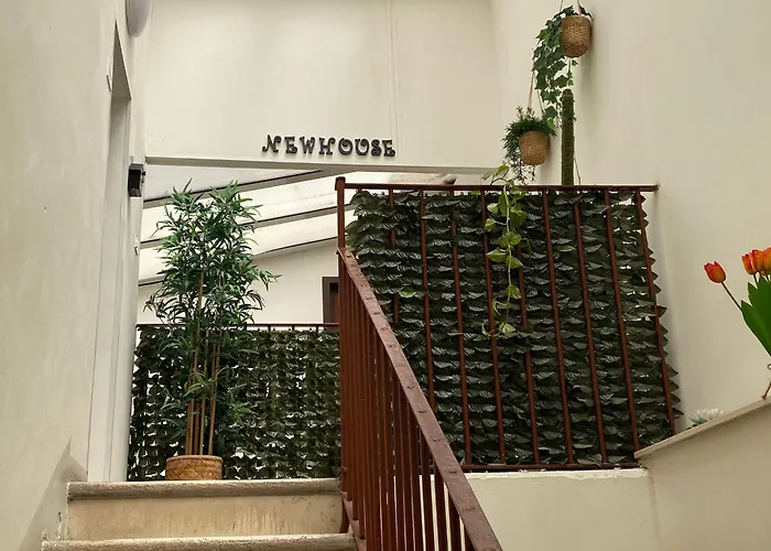 Newhouse 336 *