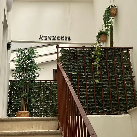 Newhouse 336 *