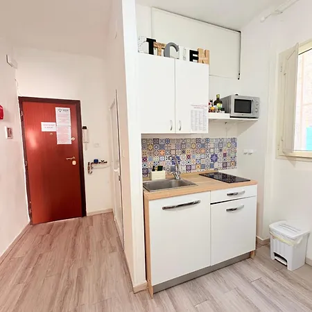 Newhouse 336 * Bari